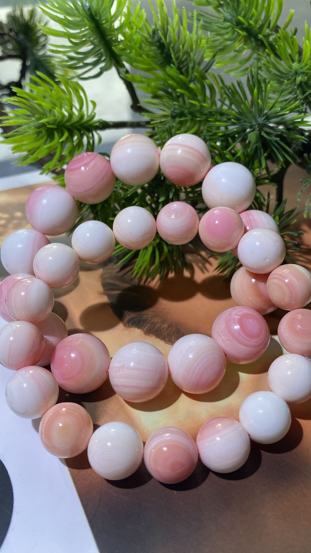 Natural Pink Queen Conch Shell High Quality Crystal Bracelet Wholesale Price Collection Level